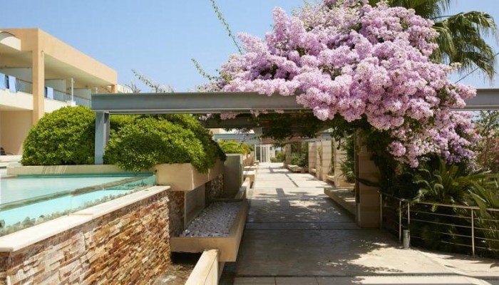 Minoa Palace Resort & Spa poza 13