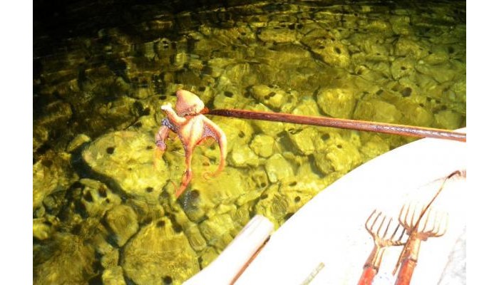 Ilia Mare Hotel poza 3