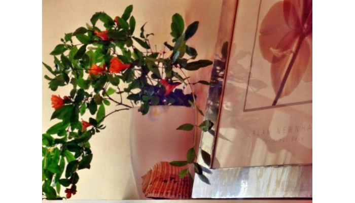 Ilios Studios poza 3