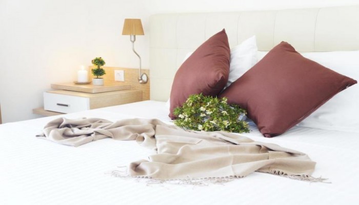 Hotel Artemis Plaza poza 2