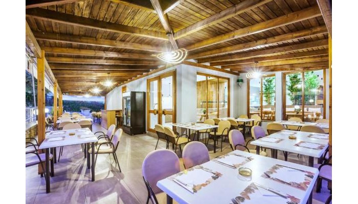 Hotel Palladium poza 6