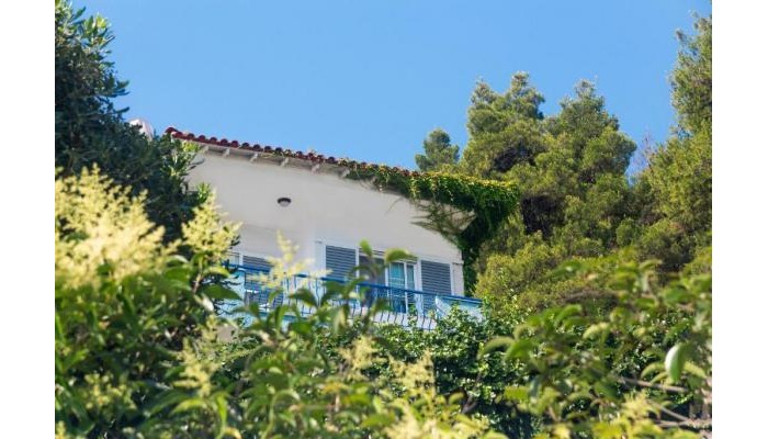 Hotel Roditsa Patritsia poza 2