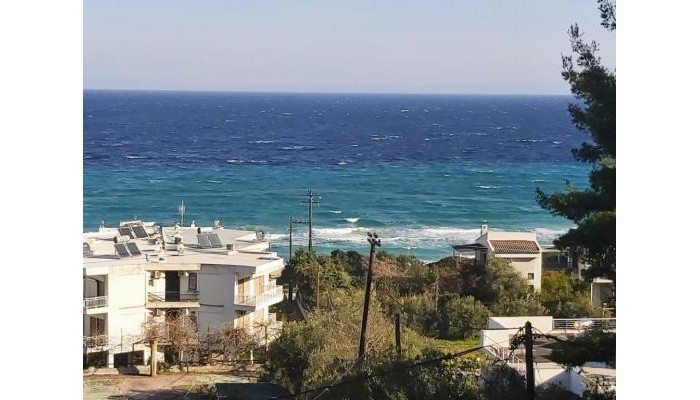 Hotel Roditsa Patritsia poza 7