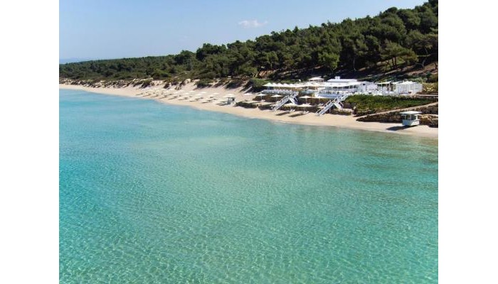 Sani Beach Hotel&spa poza 0