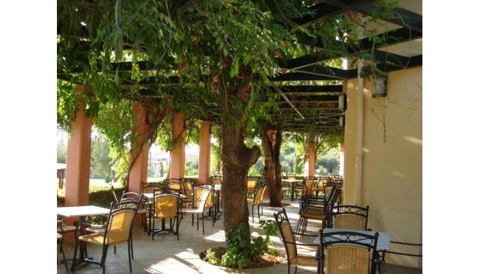 Century Resort poza 11