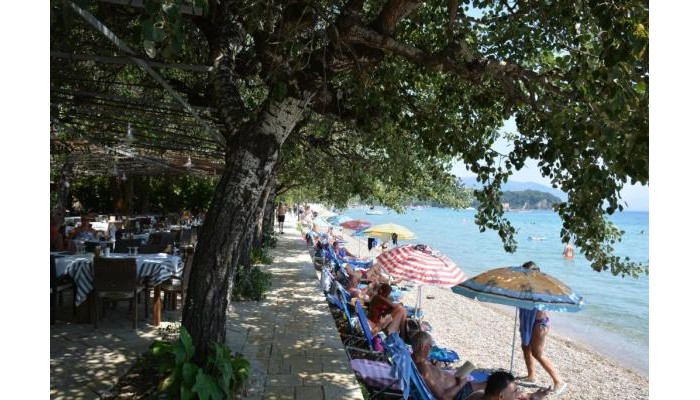 Hotel Dassia Beach poza 19