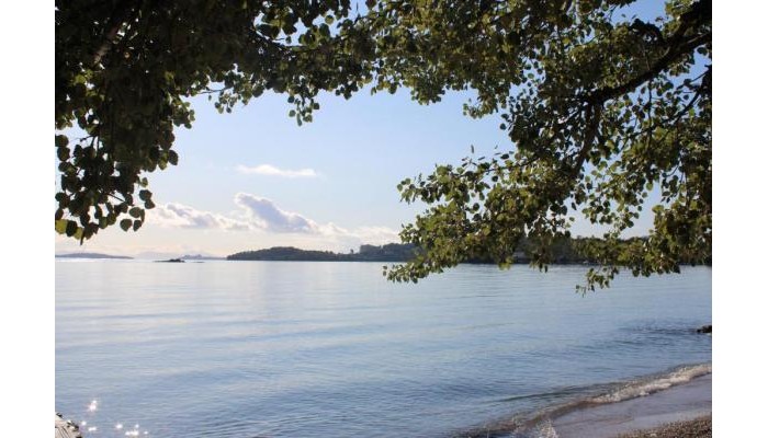 Hotel Dassia Beach poza 20