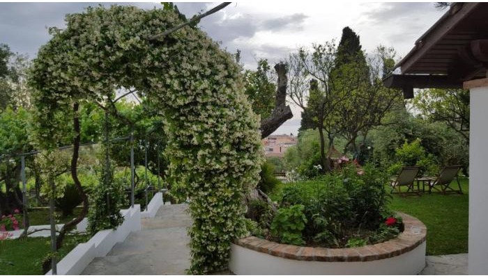 Gina Studios poza 10