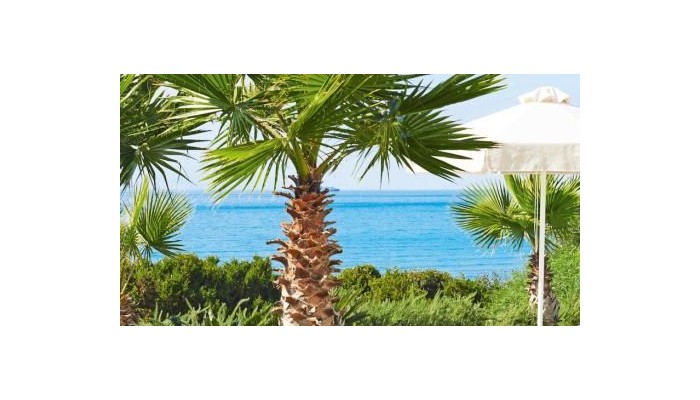 Hotel Grecotel Eva Palace poza 12