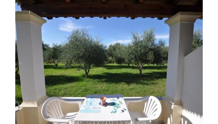 Liberty's Studios poza 10