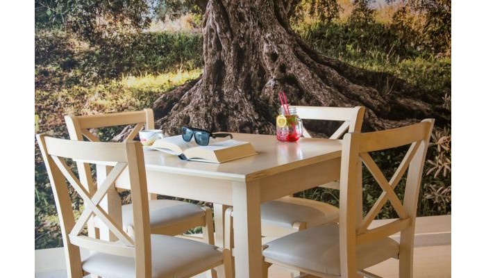 Hotel Primavera poza 15