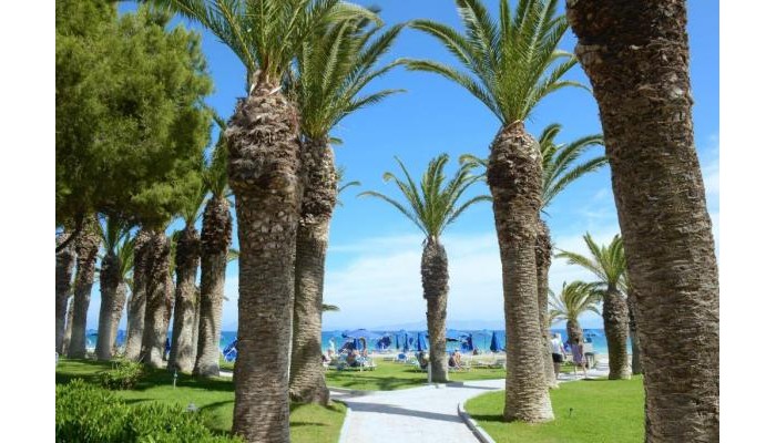 Hotel Blue Horizon poza 21