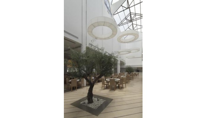 Hotel Lindos Royal poza 19