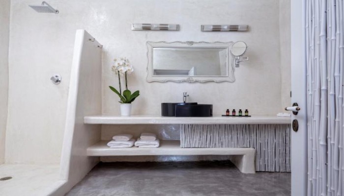 Hotel Andronis Boutique poza 2