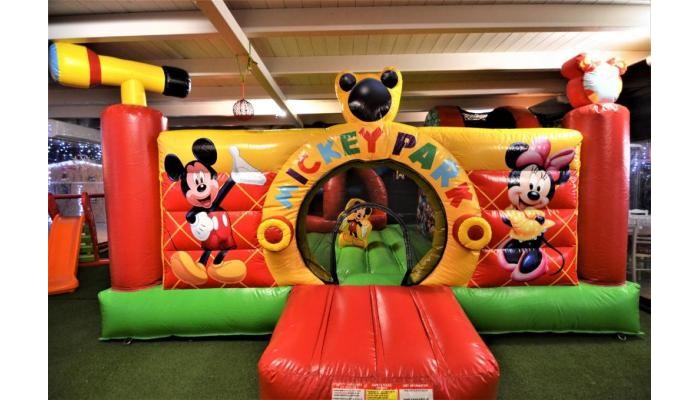 Hotel Thassos Grand Beach poza 17