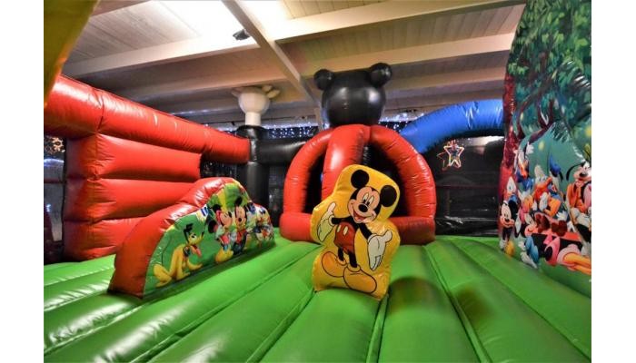 Hotel Thassos Grand Beach poza 18