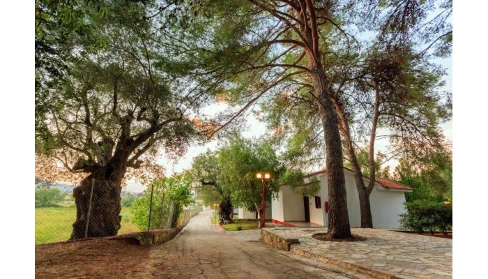 Alykes Park Bungalows & Apartments poza 6