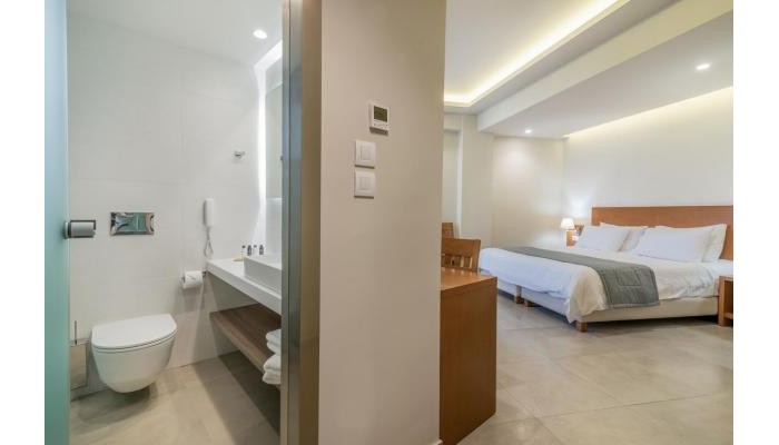 Hotel Palmyra poza 2