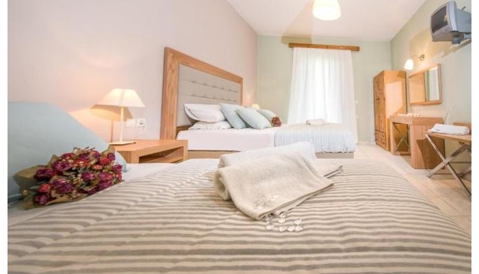 Hotel Plessas Palace poza 2