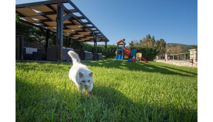 Kookis Village poza 9