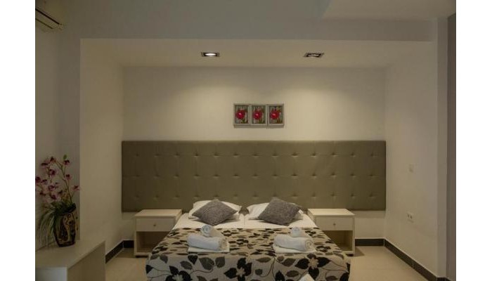 Dafni Plus Hotel poza 2