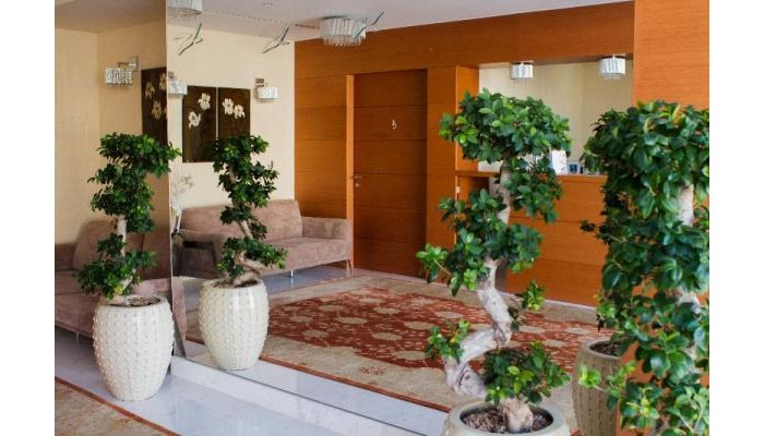 Hotel Bellevue Suites poza 8