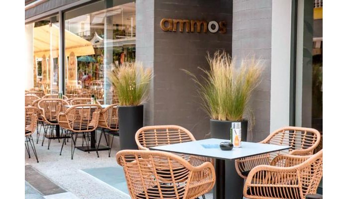 Ammos Beach Studios And Suites poza 12