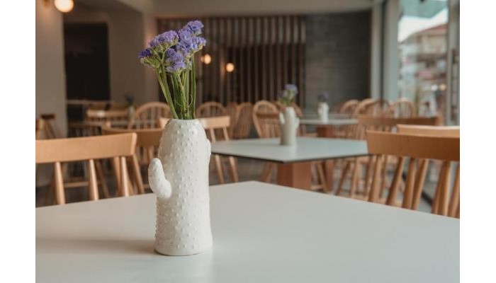 Ammos Beach Studios And Suites poza 11