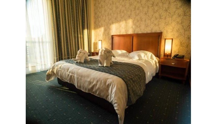 Ambassador Hotel poza 8