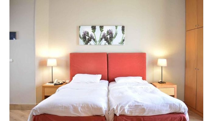 Hotel Le Palace Art poza 2